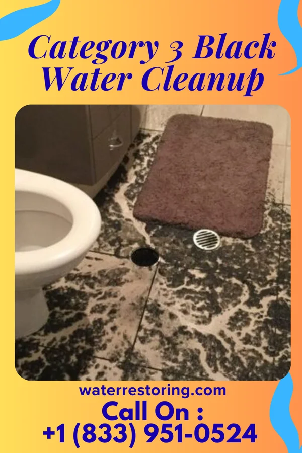 Category 3 Black Water Cleanup in Centerton, AR